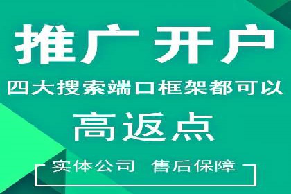SEM广告创意与优化：成功案例分享